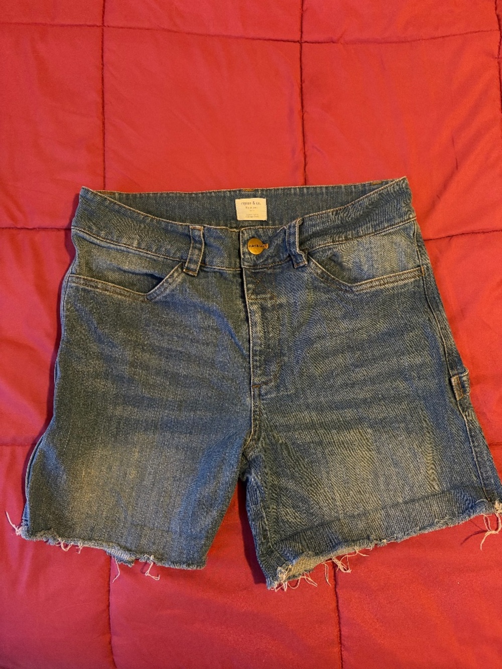 Ripton Carpenter Shorts